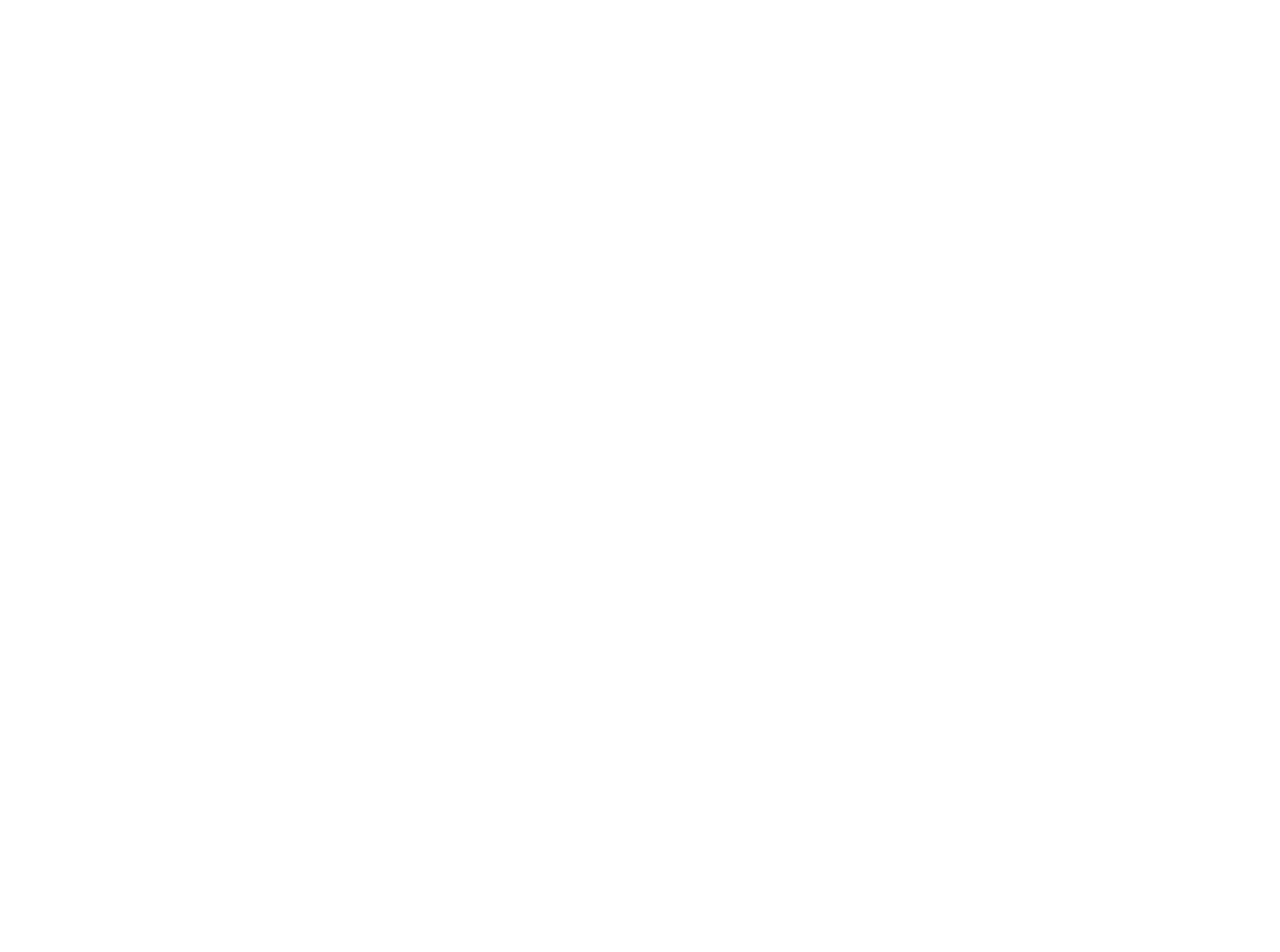 NOWAVE Logo